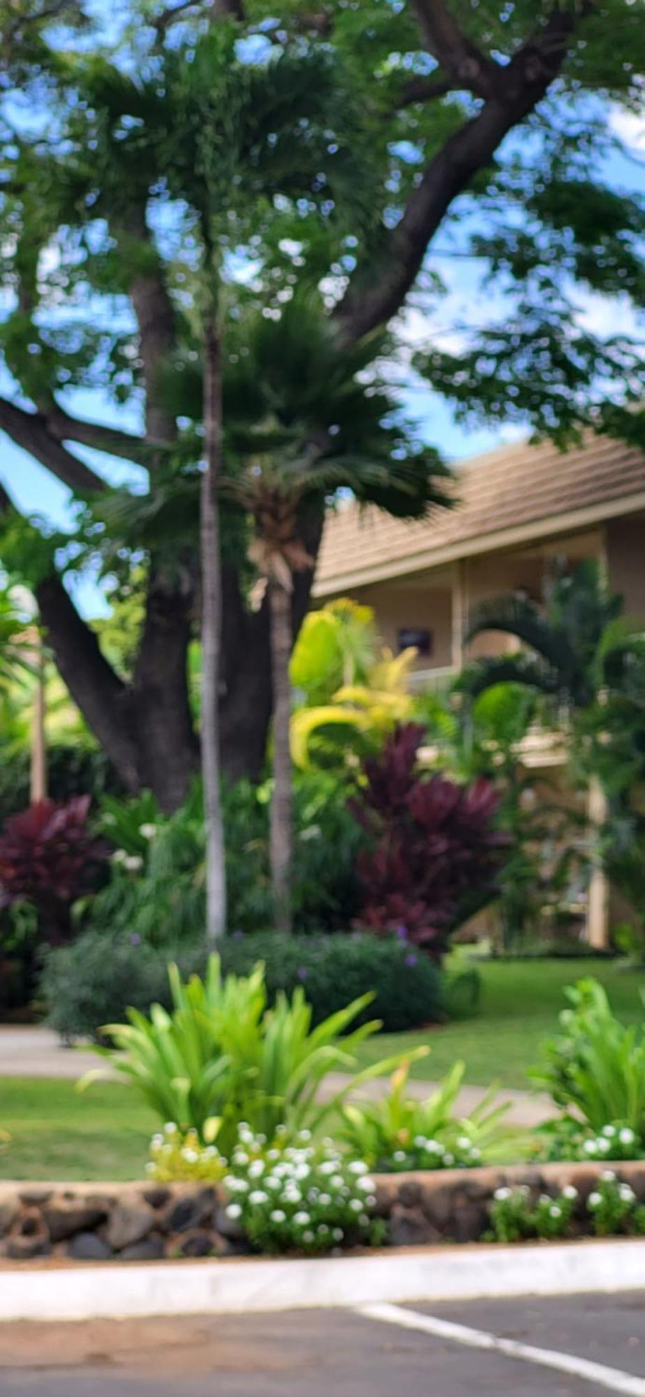 Kihei Kai Nani Resort Eksteriør bilde