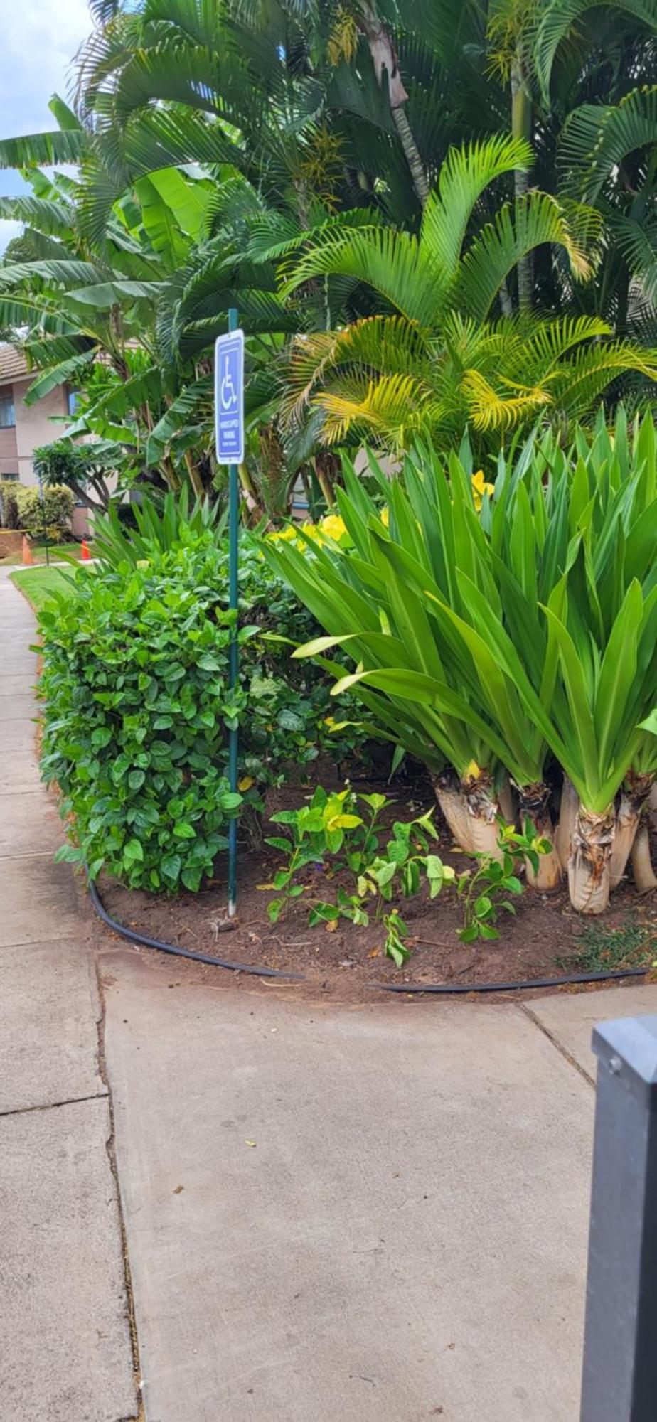Kihei Kai Nani Resort Eksteriør bilde